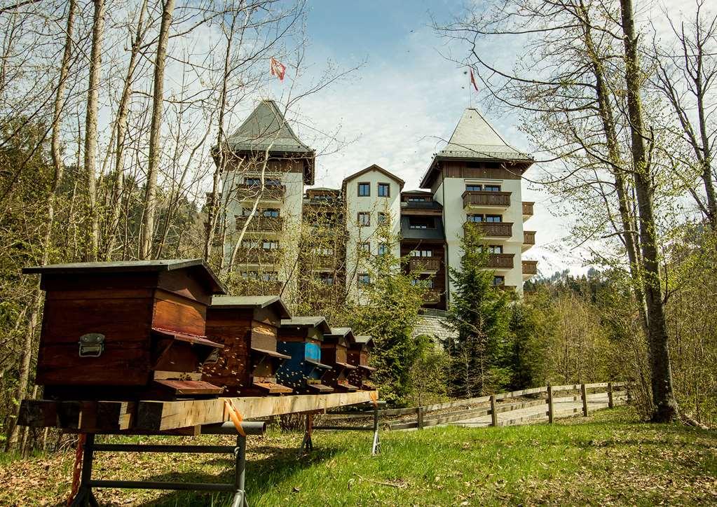 The Alpina Gstaad Hotel Luaran gambar