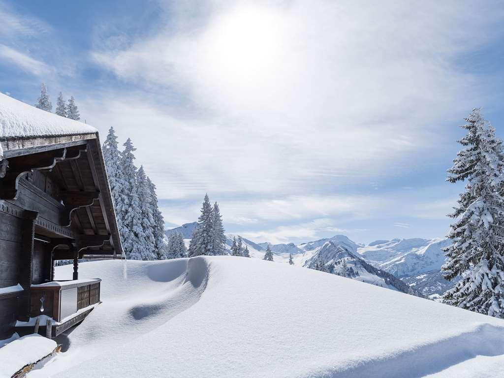 The Alpina Gstaad Hotel Luaran gambar